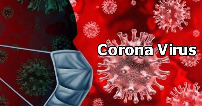 corona virus ambon