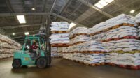 Pupuk-Kaltim-Salurkan-1.67775-Ton-Pupuk-Urea-Subsidi-di-Maluku Pupuk-Kaltim-Salurkan-1.67775-Ton-Pupuk-Urea-Subsidi-di-Maluku