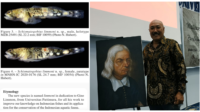 limmon Dosen Fakultas Perikanan Universitas Pattimura (Unpatti) Ambon Dr. rer. Nat. Gino Valentino Limmon, M.Sc bersama lukisan Rumphius, dan spesies ikan Schismatogobius limmoni. (foto gino valentino)