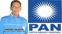 sandy-salamun