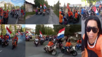 fans-timna-belanda