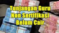 tunjangan-sertifikasi-non-guru
