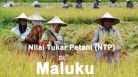 NTP Maluku2