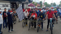 Gowes