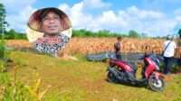 Agil Assagaf